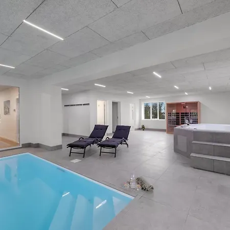 Exclusive Pool Houseconference Center With Gymnasium Erslev
